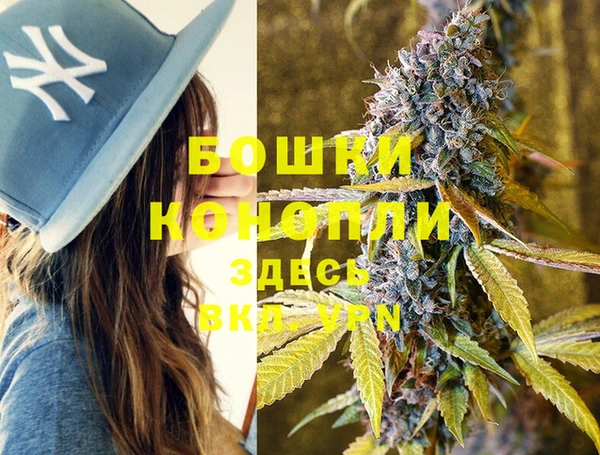 apvp Верхний Тагил